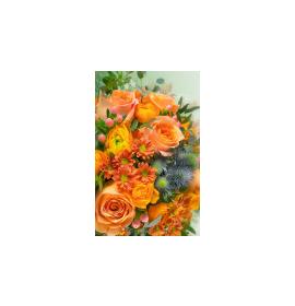 Dāvanu mazā, dubultā kartīte 26291