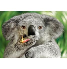 Double card, print inside 26218