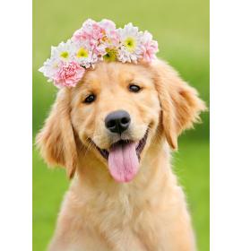 Dubulta kartīte, apdruka iekšpusē 26216