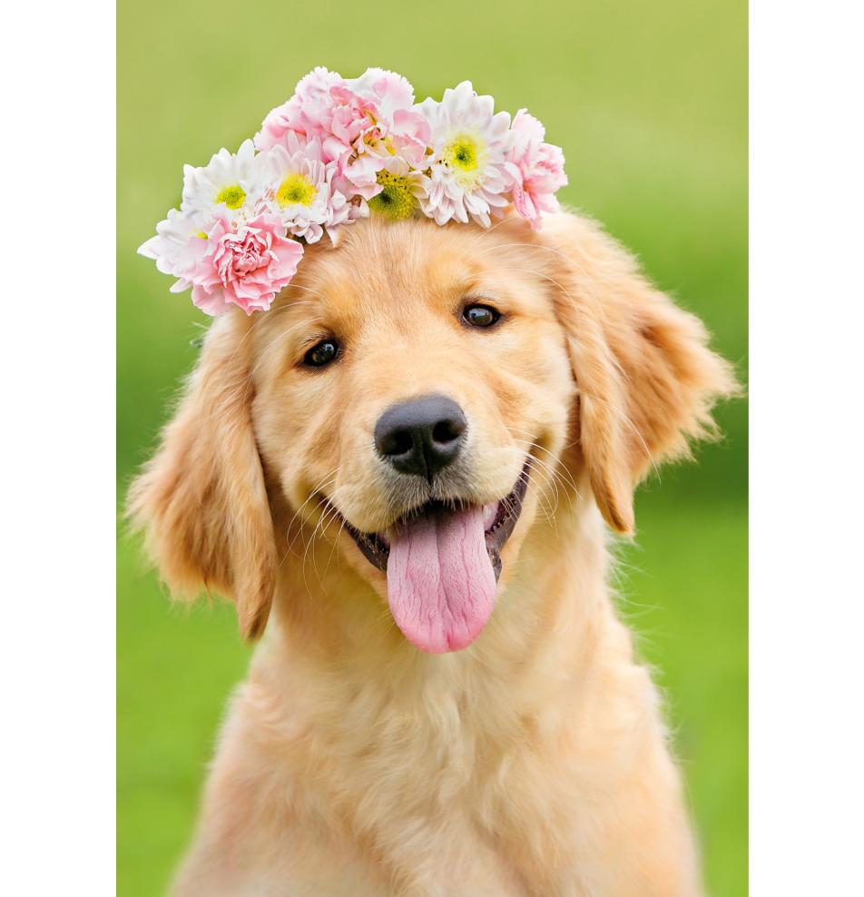 Dubulta kartīte, apdruka iekšpusē