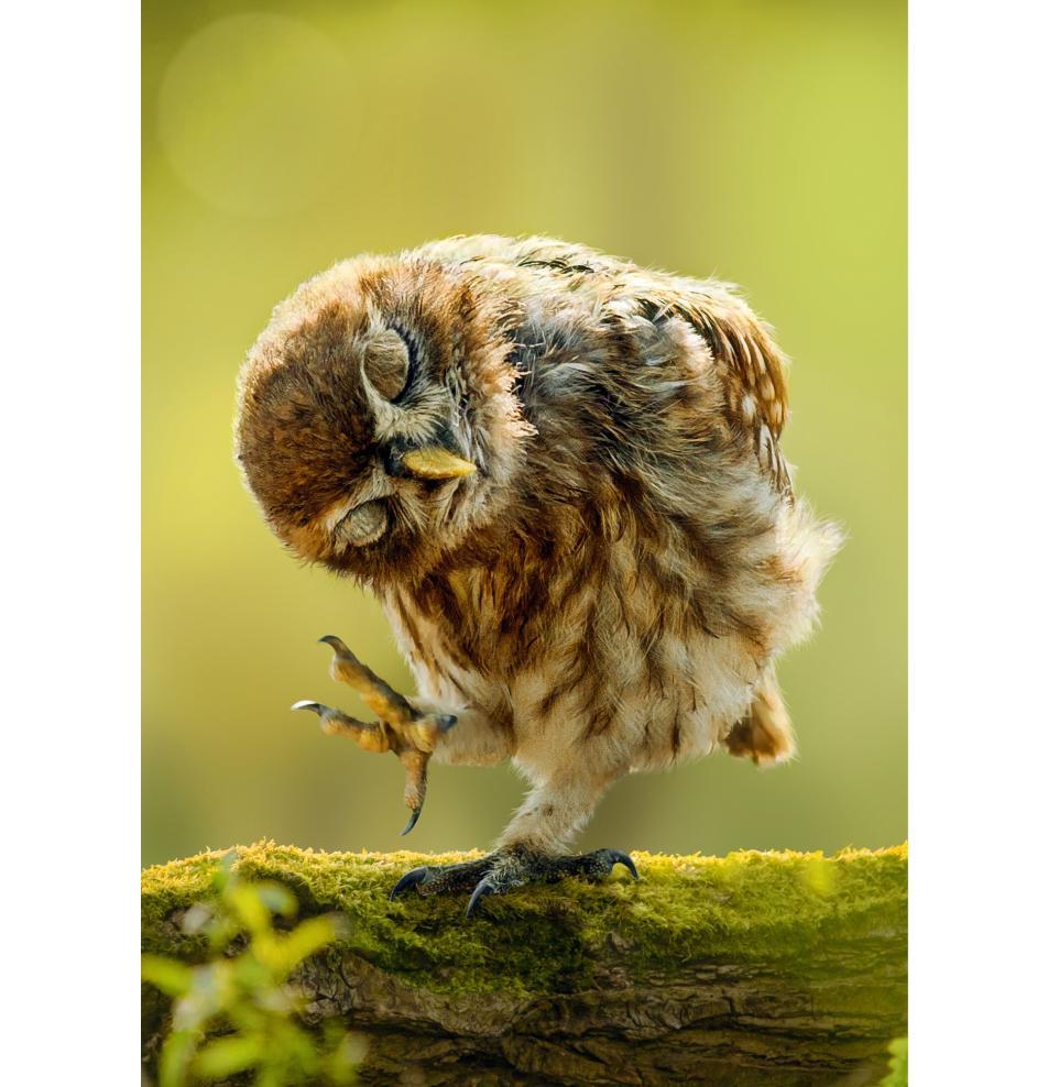 Dubulta kartīte, apdruka iekšpusē