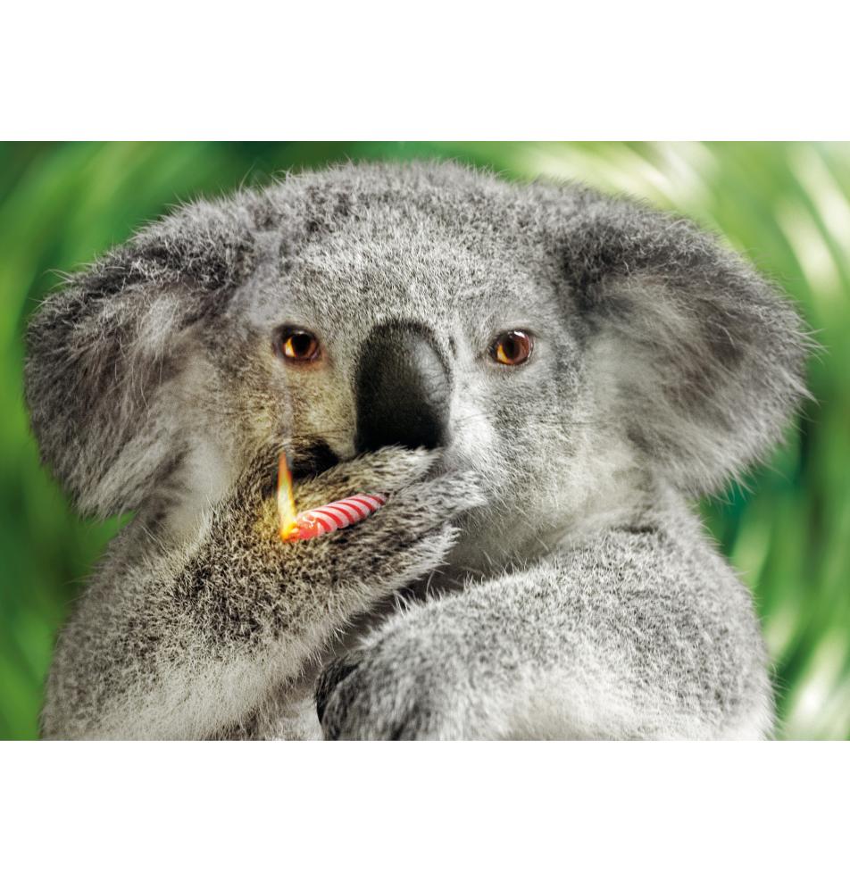 Dubulta kartīte, apdruka iekšpusē