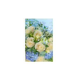 Gift card, small, double (figural) 26251