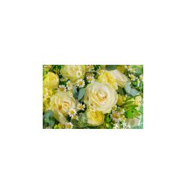 Gift card, small, double (figural) 26252