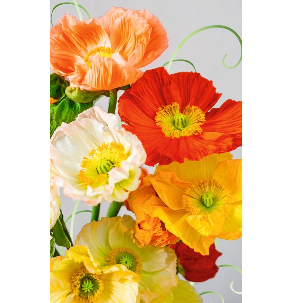 Dāvanu mazā, dubultā kartīte