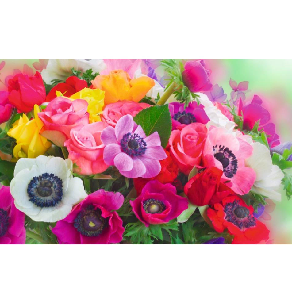 Dāvanu mazā, dubultā kartīte