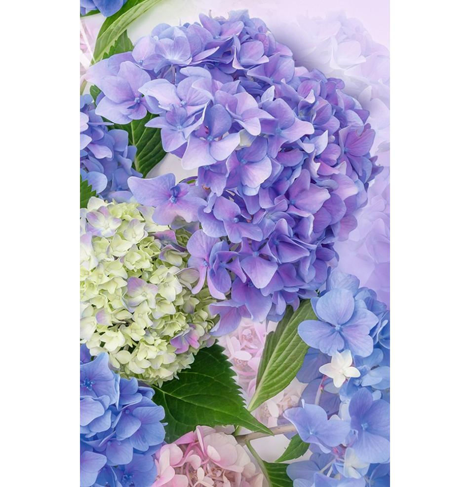 Dāvanu mazā, dubultā kartīte