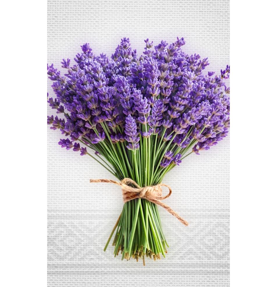 Dāvanu mazā, dubultā kartīte