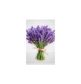 Gift card, small, double (figural) 27181