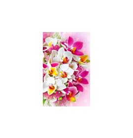 Gift card, small, double (figural) 27184