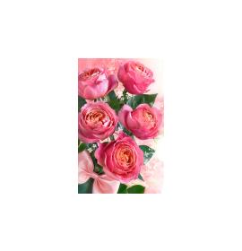 Gift card, small, double (figural) 27187