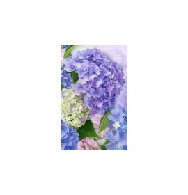 Gift card, small, double (figural) 27192