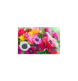 Gift card, small, double (figural) 27193