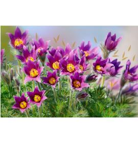 Standarta dubulta kartīte, apdruka iekšpusē 27077