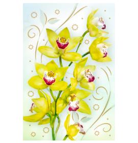 Standarta dubulta kartīte, apdruka iekšpusē 27098