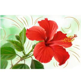 Standarta dubulta kartīte, apdruka iekšpusē 27099