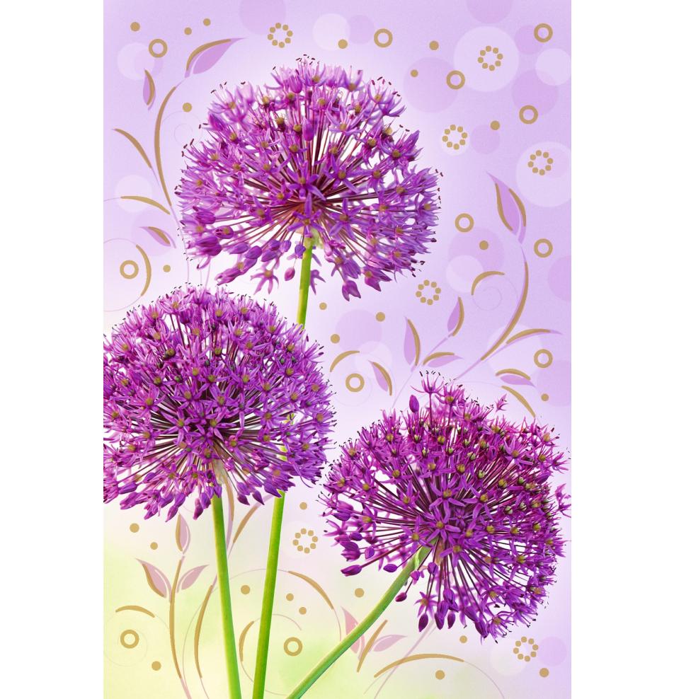 Standarta dubulta kartīte, apdruka iekšpusē