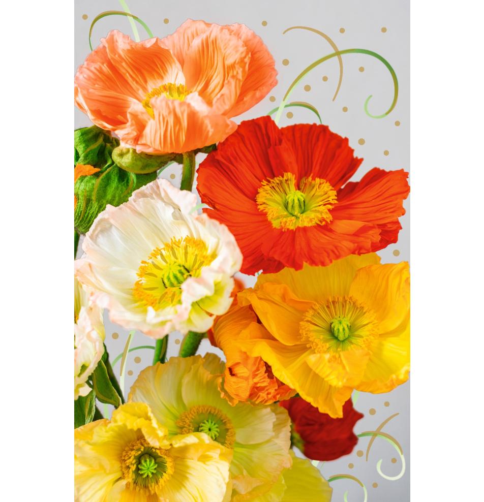 Standarta dubulta kartīte, apdruka iekšpusē