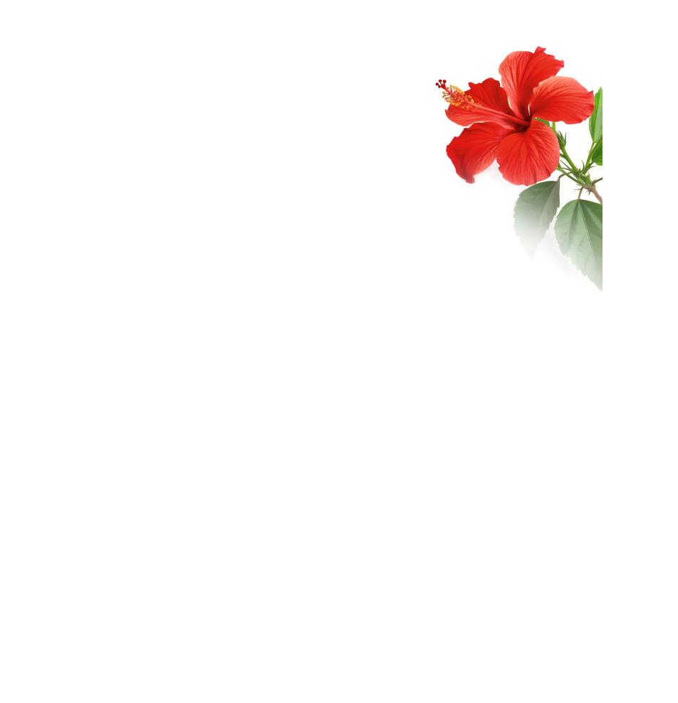 Standarta dubulta kartīte, apdruka iekšpusē