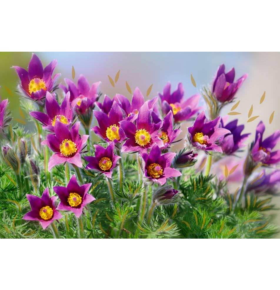 Standarta dubulta kartīte, apdruka iekšpusē