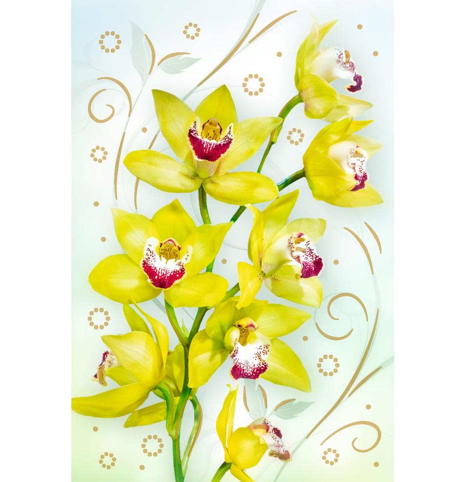 Standarta dubulta kartīte, apdruka iekšpusē