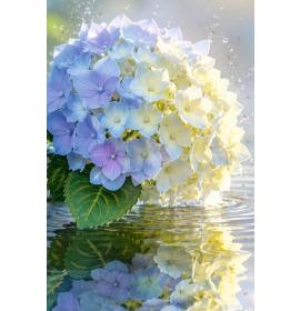 Card with envelope 27627