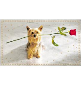 Money envelope card 16586