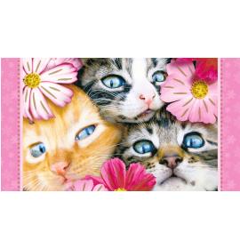 Kartīte, naudas aploksne 21341