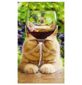 Kartīte, naudas aploksne 20143