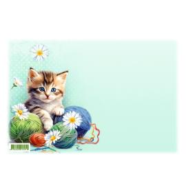 Envelope A0006-293