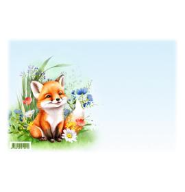 Envelope A0006-294