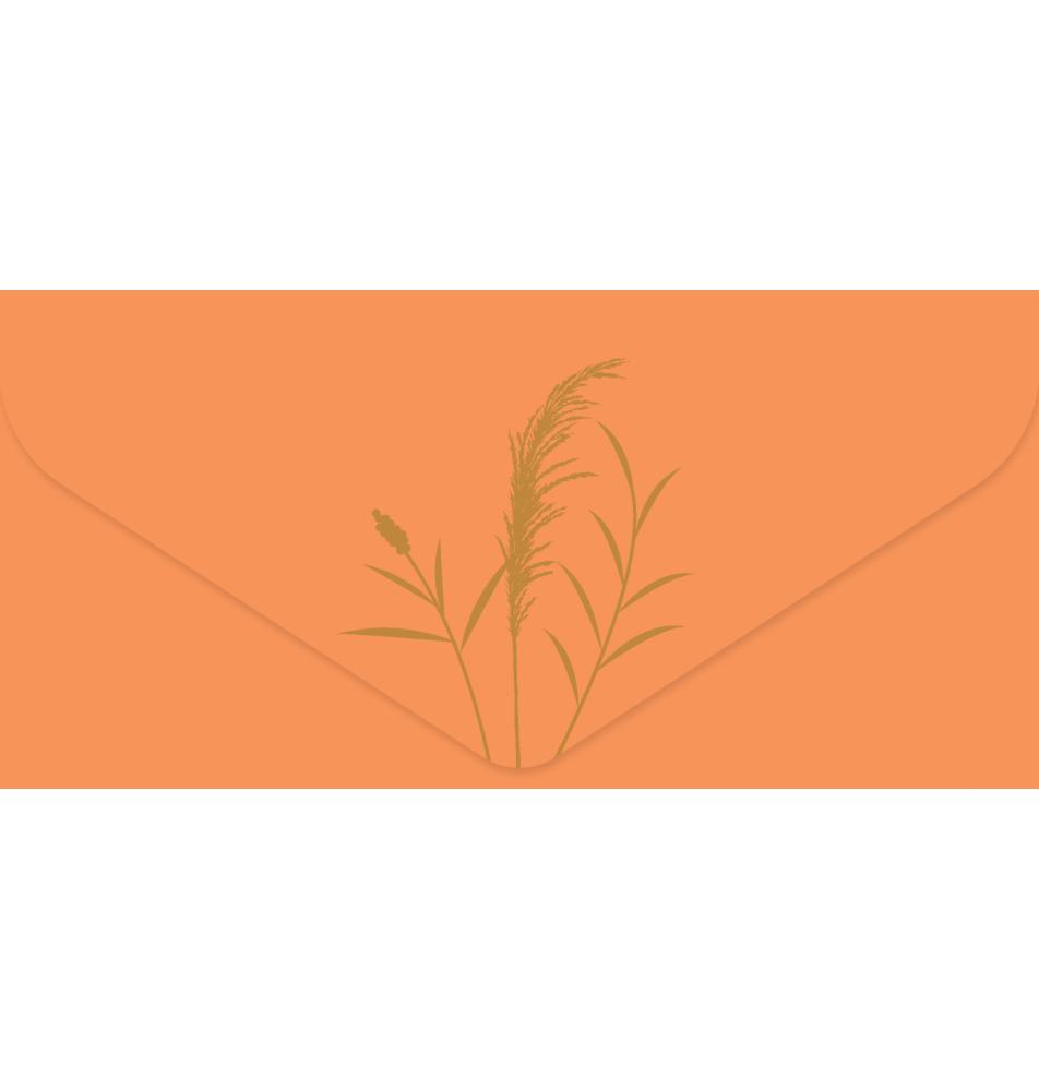 Kartīte, naudas aploksne