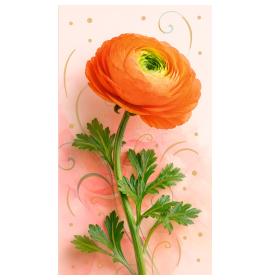 Money envelope card 27736-0