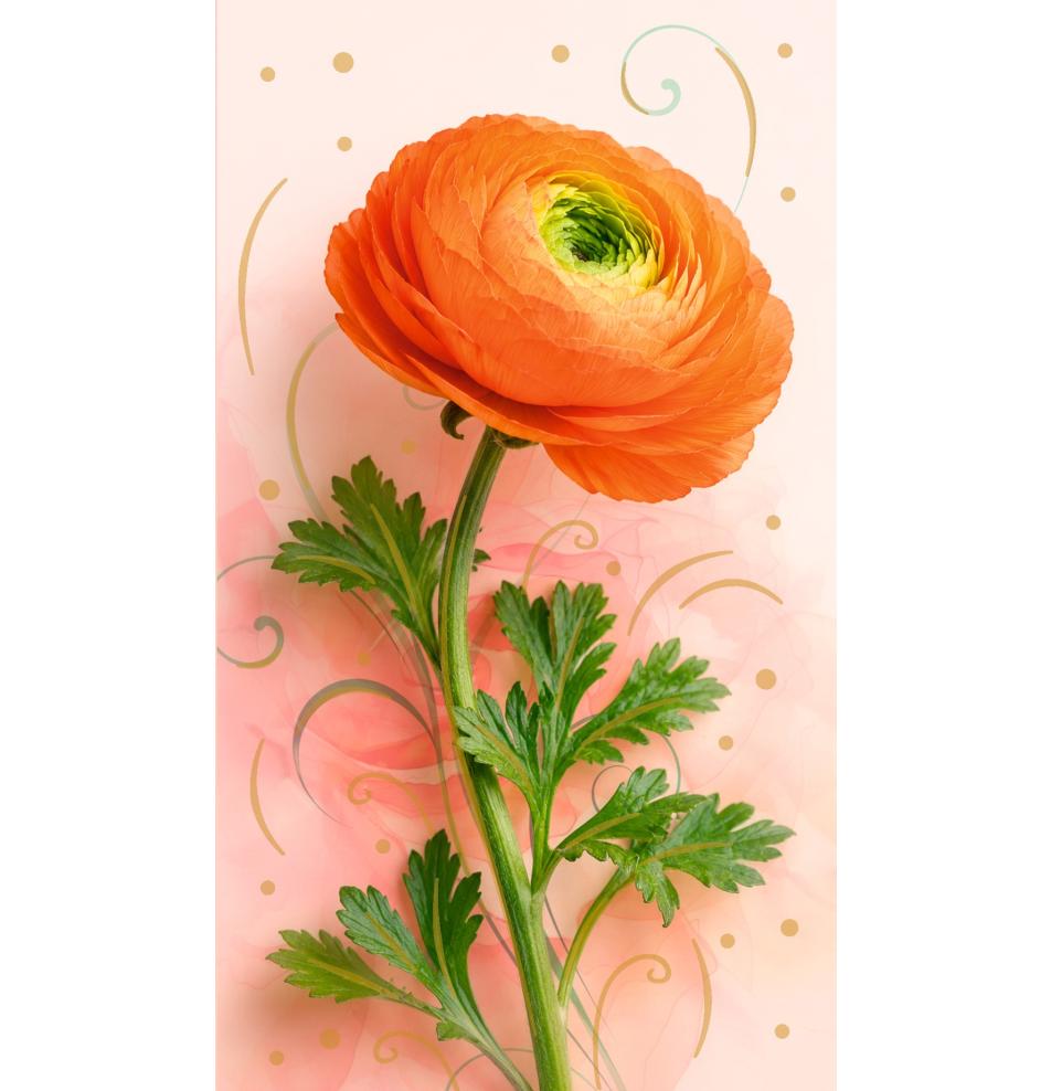 Money envelope card