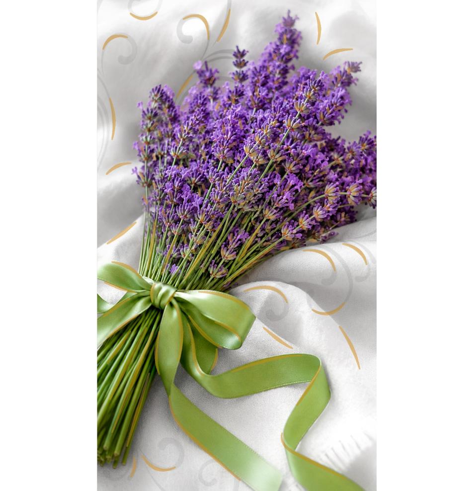 Money envelope card
