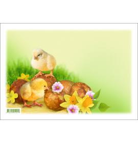 Printed envelopes A0006-214