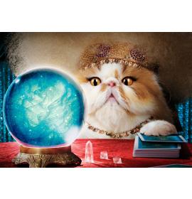 Double card, print inside 24125