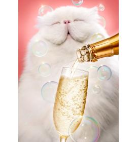 Dubulta kartīte, apdruka iekšpusē 24124