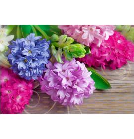 Standard double card, print inside 24116