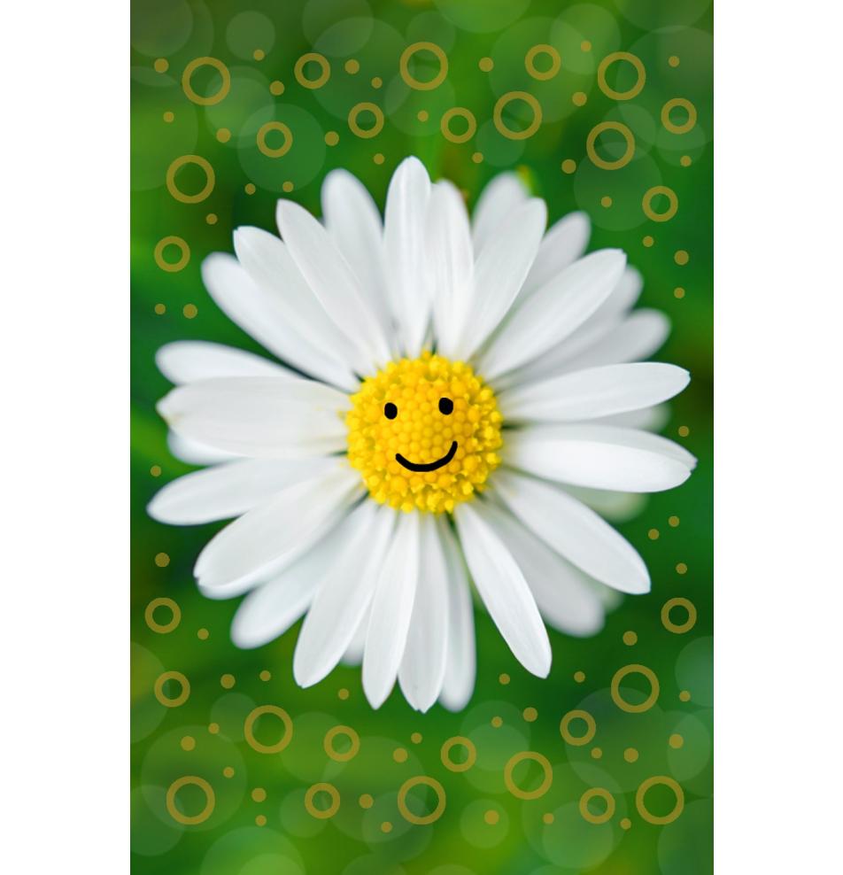Card with envelope
