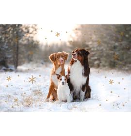 Standarta dubulta kartīte, apdruka iekšpusē 22477