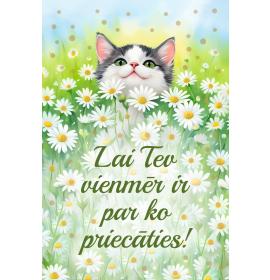 Card with envelope 27284