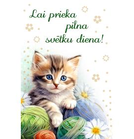 Dāvanu kartīte 27611