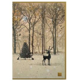 Card with envelope DC036