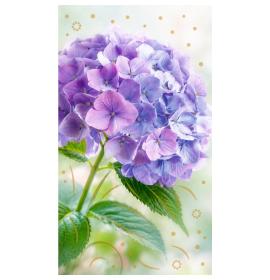Money envelope card 27752-0