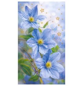 Money envelope card 27753-0