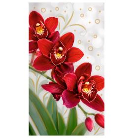 Money envelope card 27754-0