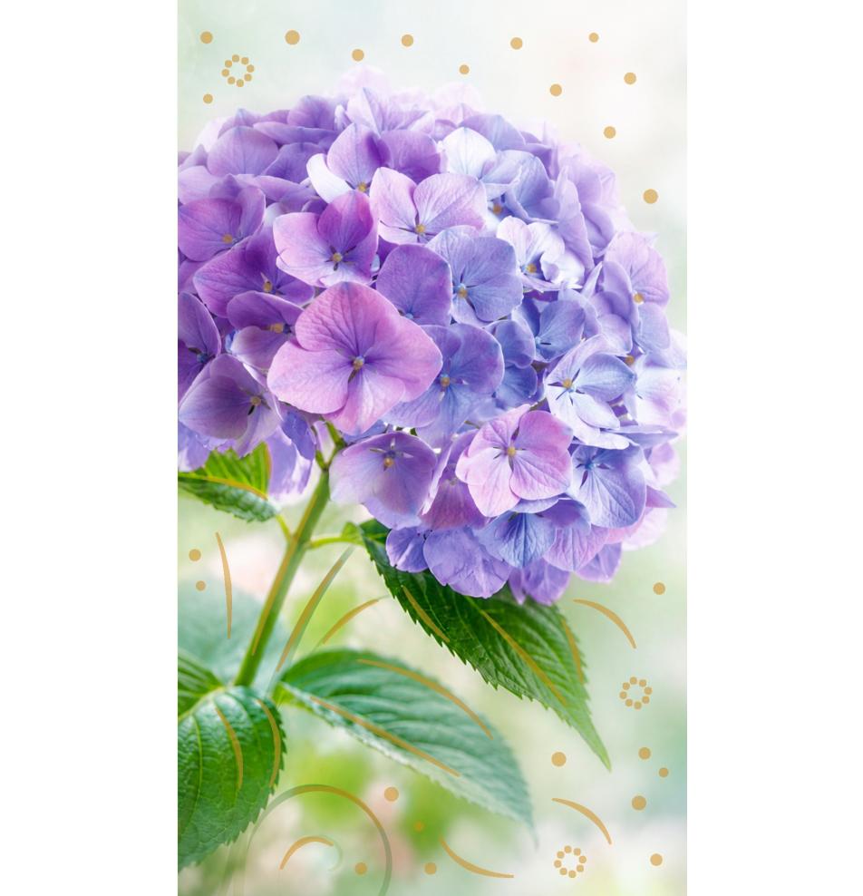 Money envelope card