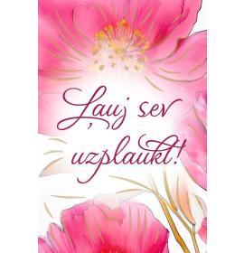 Dāvanu kartīte 27302