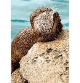 Double card, print inside 25051